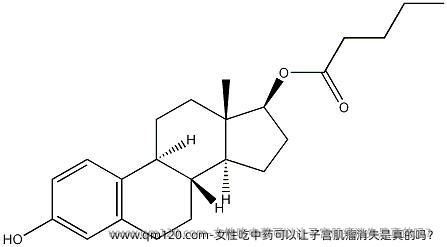 女性吃中药可以让子宫肌瘤消失是真的吗？