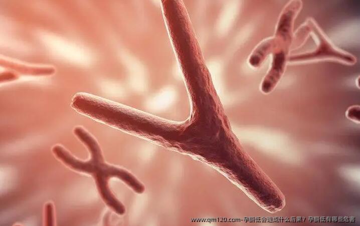 孕酮低会造成什么后果?孕酮低有哪些危害