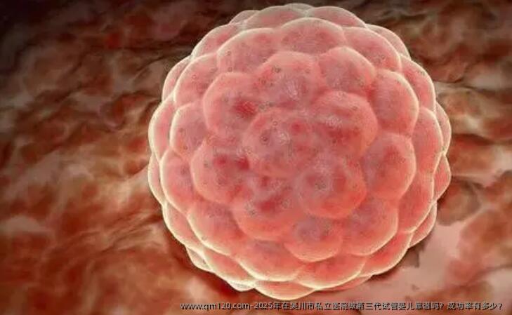 2025年在吴川市私立医院做第三代试管婴儿靠谱吗?成功率有多少?