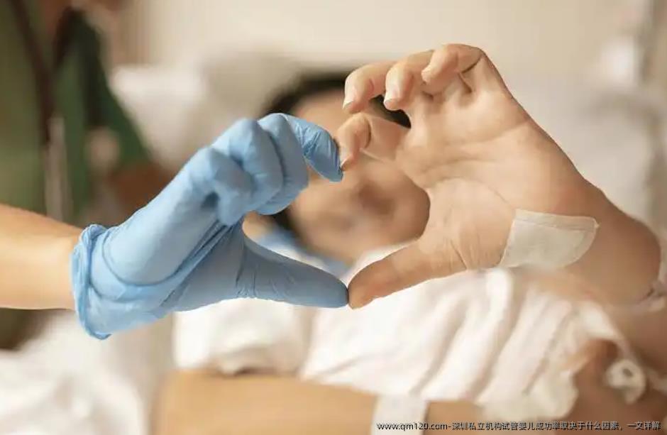 深圳机构试管婴儿成功率取决于什么因素,一文详解