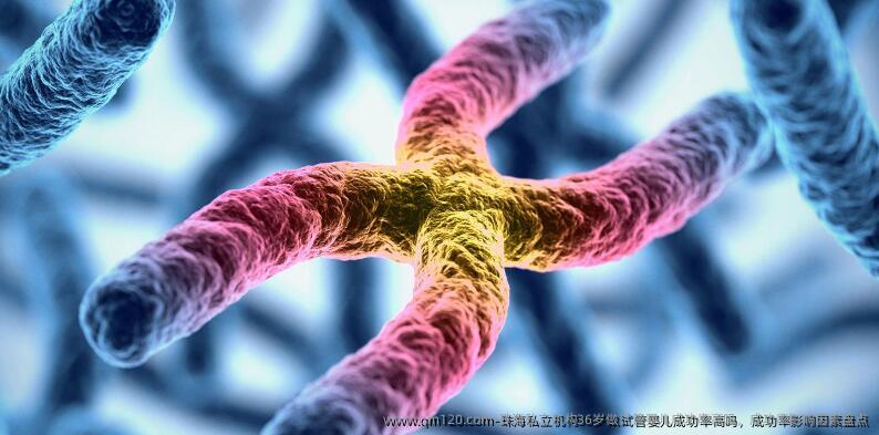 珠海机构36岁做试管婴儿成功率高吗,成功率影响因素盘点