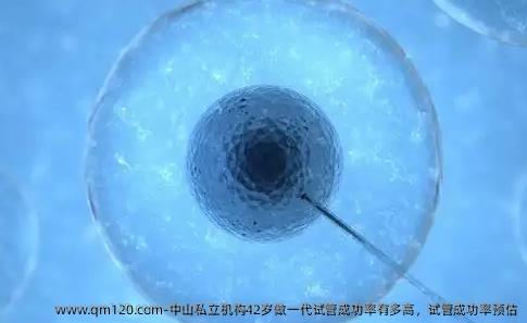 中山机构42岁做一代试管成功率有多高，试管成功率预估
