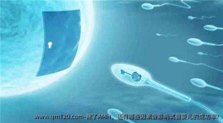 除了AMH，还有哪些因素会影响试管婴儿的成功率?