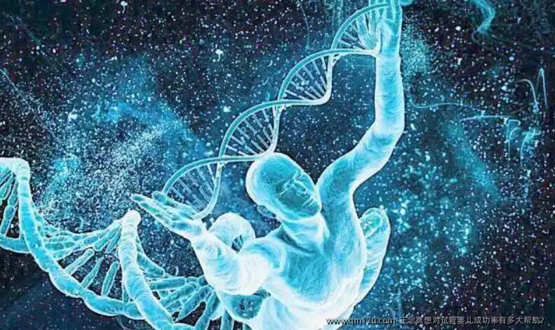 正念冥想对试管婴儿成功率有多大帮助?