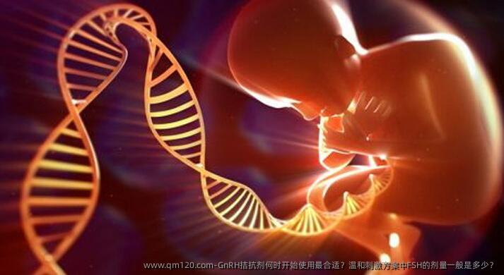GnRH拮抗剂何时开始使用最合适?温和刺激方案中FSH的剂量一般是多少?