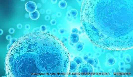 中山私立机构40岁做试管成功率高吗多少,详细数据参考