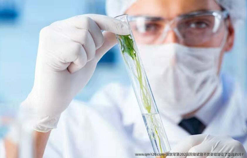 解放军第202医院做试管不需要结婚证了是真的吗?