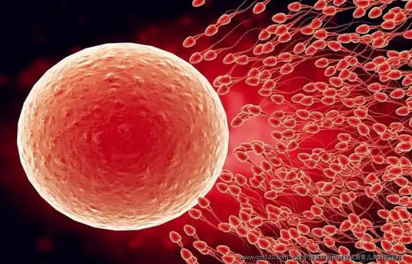 心理干预具体如何减轻试管婴儿夫妇的压力?