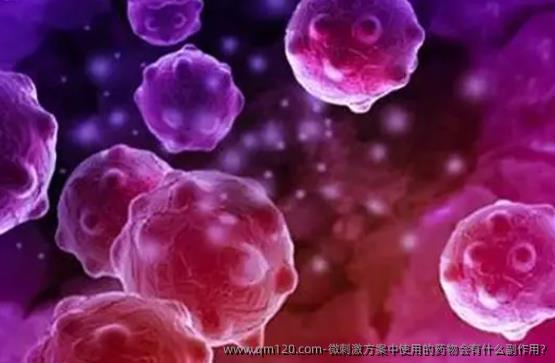 微刺激方案中使用的药物会有什么副作用?