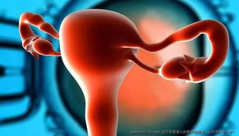 辽宁试管婴儿流程详细解读,让您安心每一步!