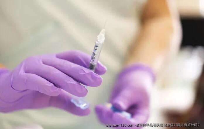 试管移植后每天喝黑豆浆对着床有好处吗?