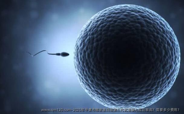 2025年平果市哪家医院做第三代试管婴儿成功率高?需要多少费用?