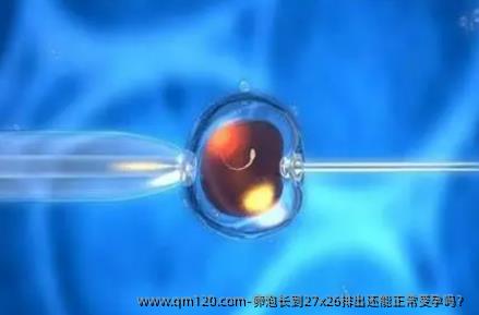 卵泡长到27x26排出还能正常受孕吗?