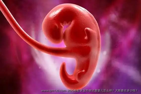 2025年在灵宝市做试管婴儿怎么样?大概要花多少钱?