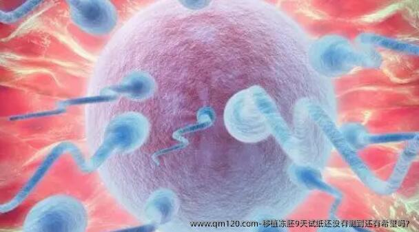 移植冻胚9天试纸还没有测到还有希望吗?