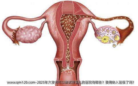 2025年六安市可以做试管婴儿的医院有哪些?费用纳入医保了吗?