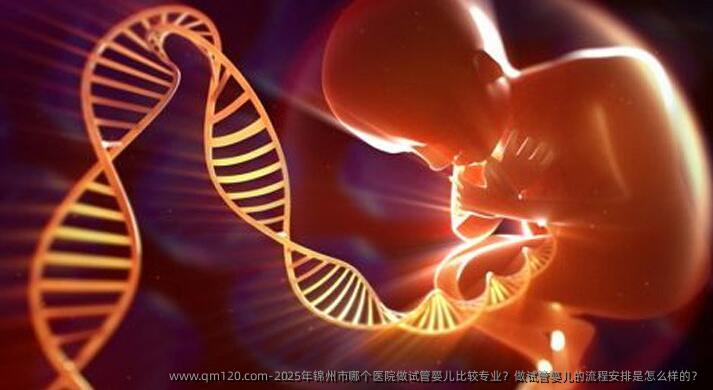 2025年锦州市哪个医院做试管婴儿比较专业？做试管婴儿的流程安排是怎么样的？
