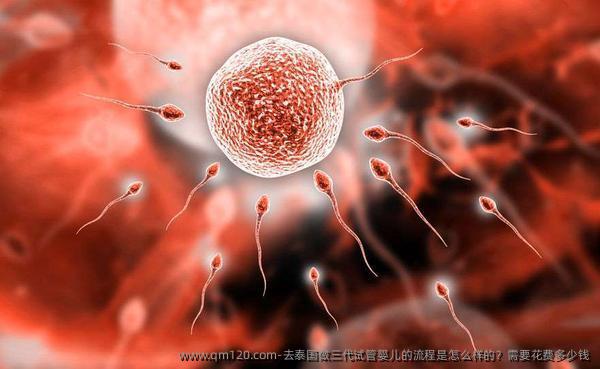 去泰国做三代试管婴儿的流程是怎么样的?需要花费多少钱