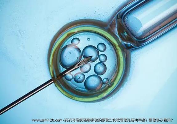 2025年旬阳市哪家医院做第三代试管婴儿成功率高?需要多少费用?