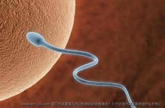 第三代试管婴儿PGT检测的好处有哪些?三代试管PGT筛查胚胎什么价格?