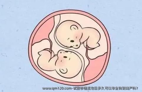 试管移植成功后多久可以毕业转到妇产科?