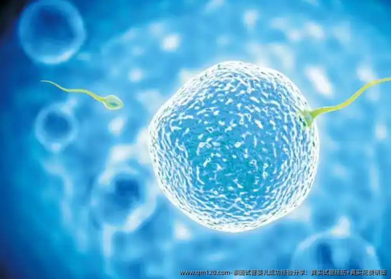 泰国试管婴儿成功经验分享:真实试管经历+真实花费明细