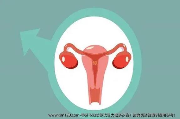 柳州市妇幼做试管大概多少钱？附真实试管案例费用参考！