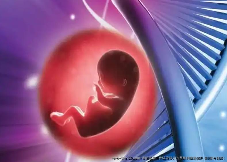 贵阳市第三代试管婴儿的费用明细表出炉,由5部分组成!