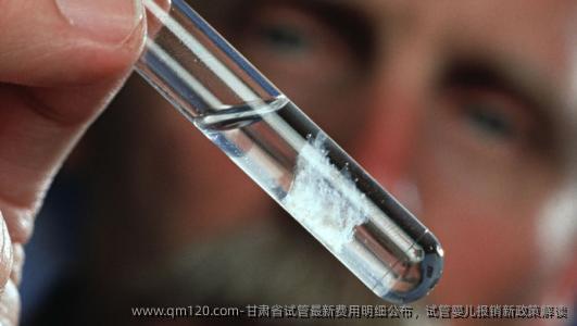 甘肃省试管最新费用明细公布,试管婴儿报销新 解读