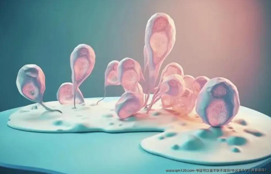 中医可以看不孕不育吗?中医看不孕不育靠谱吗?