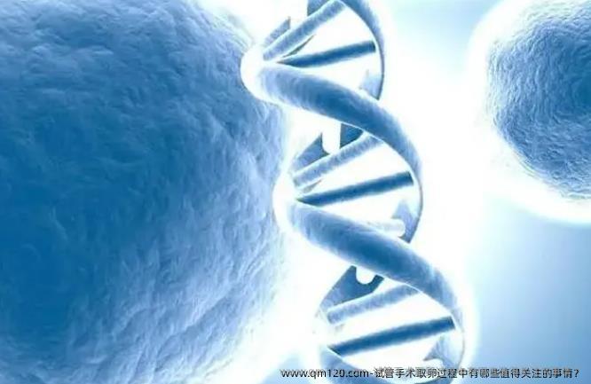 试管手术卵泡取出过程中有哪些值得关注的事情?