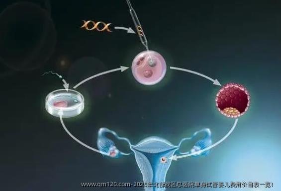 2025年北部战区总医院单身试管婴儿费用价目表一览!