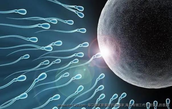 海口做试管较好的是哪家,海口有做三代试管婴儿的医院