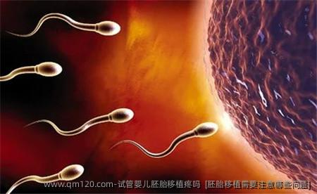 试管婴儿胚胎移植疼吗  [胚胎移植需要注意哪些问题]