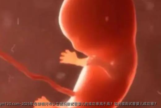 2025年在胡杨河市公立医院做试管婴儿的成功率高不高?如何提高试管婴儿成功率?