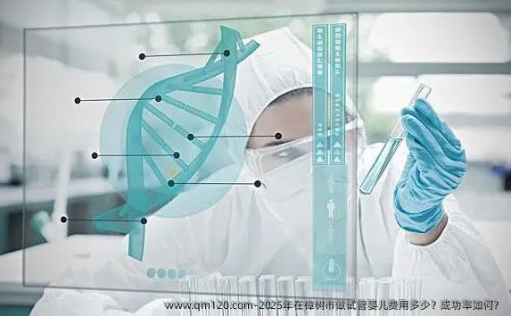 2025年在樟树市做试管婴儿费用多少?成功率如何?