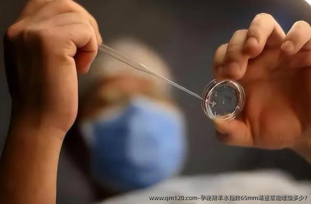 孕晚期羊水指数65mm喝豆浆能增加多少?