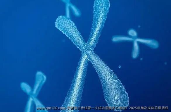 苏州第三代试管初次成功需要多少钱呀?2025年单次成功花费明细