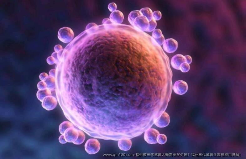 福州做三代试管大概需要多少钱？福州三代试管全流程费用详解！