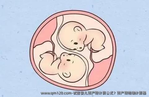 试管婴儿预产期计算公式？预产期精确计算器