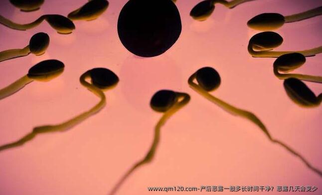 产后恶露一般多长时间干净？恶露几天会变少