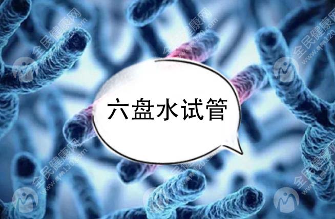 六盘水试管