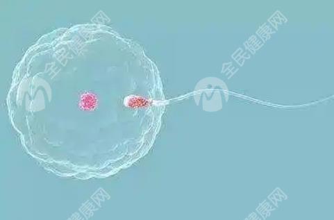 拉萨试管婴儿医院都有哪些？拉萨较好的生殖医院？