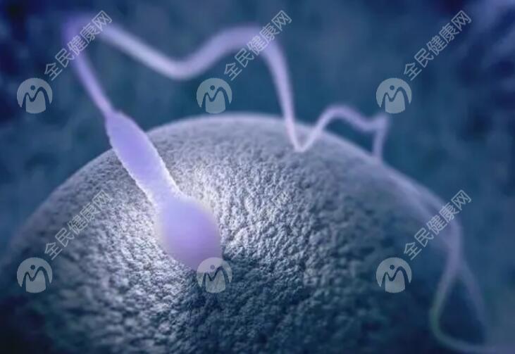 2025在九江市卵泡少做三代试管婴儿长方案多少钱，如何提高试管婴儿成功率？