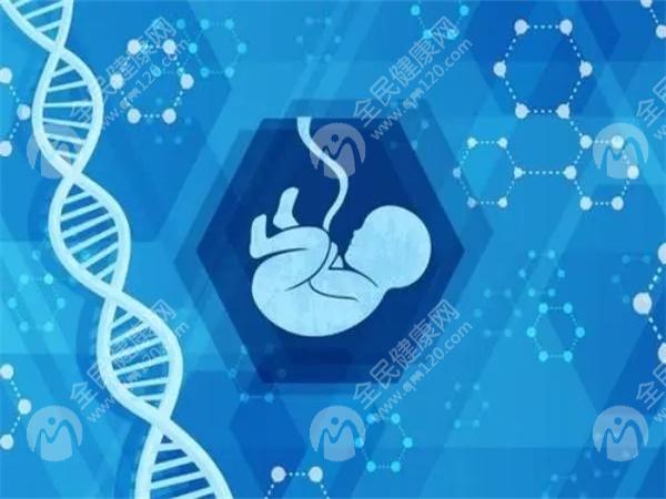 2025龙岩试管婴儿医院排名中哪家做三代成功率较高