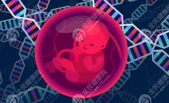 2025年珠海市妇幼保健院生子试管成功率预估？珠海市妇幼保健院生殖医学中心？