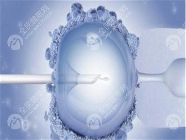 2025邢台试管婴儿医院哪家强？一分钟带你了解这两家机构