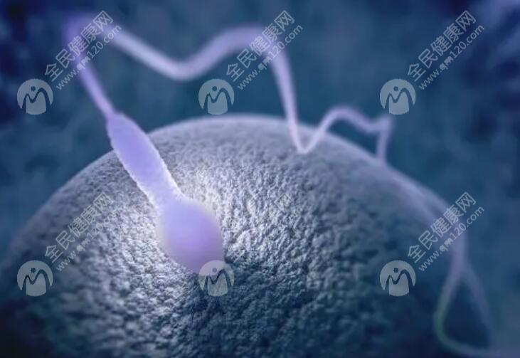 合肥试管婴儿医院排行榜！合肥试管婴儿费用大概要多少钱！