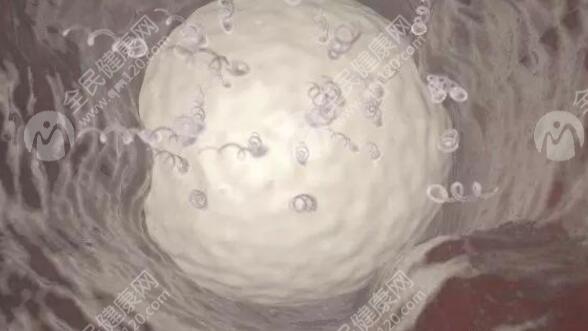 天津三代试管婴儿费用明细是怎样的？天津三代试管婴儿多少钱？