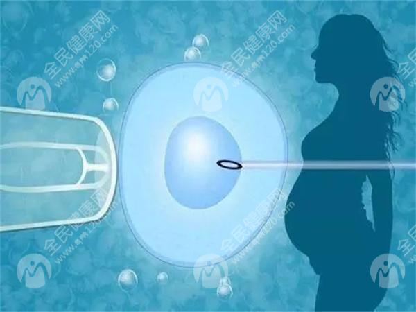 2025乌鲁木齐三代试管成功率有多高？附4个影响成功率因素